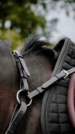 Collier de chasse Endurance NORTON - Pop - Image 3