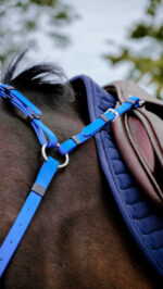 Collier de chasse Endurance NORTON - Pop - Image 5
