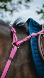 Collier de chasse Endurance NORTON - Pop - Image 7