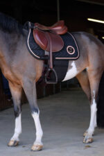 NORTON spore protection - Image 2