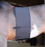 NORTON spore protection - Image 3