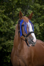 NORTON fly screen front - Image 5