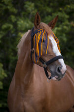 NORTON fly screen front - Image 17