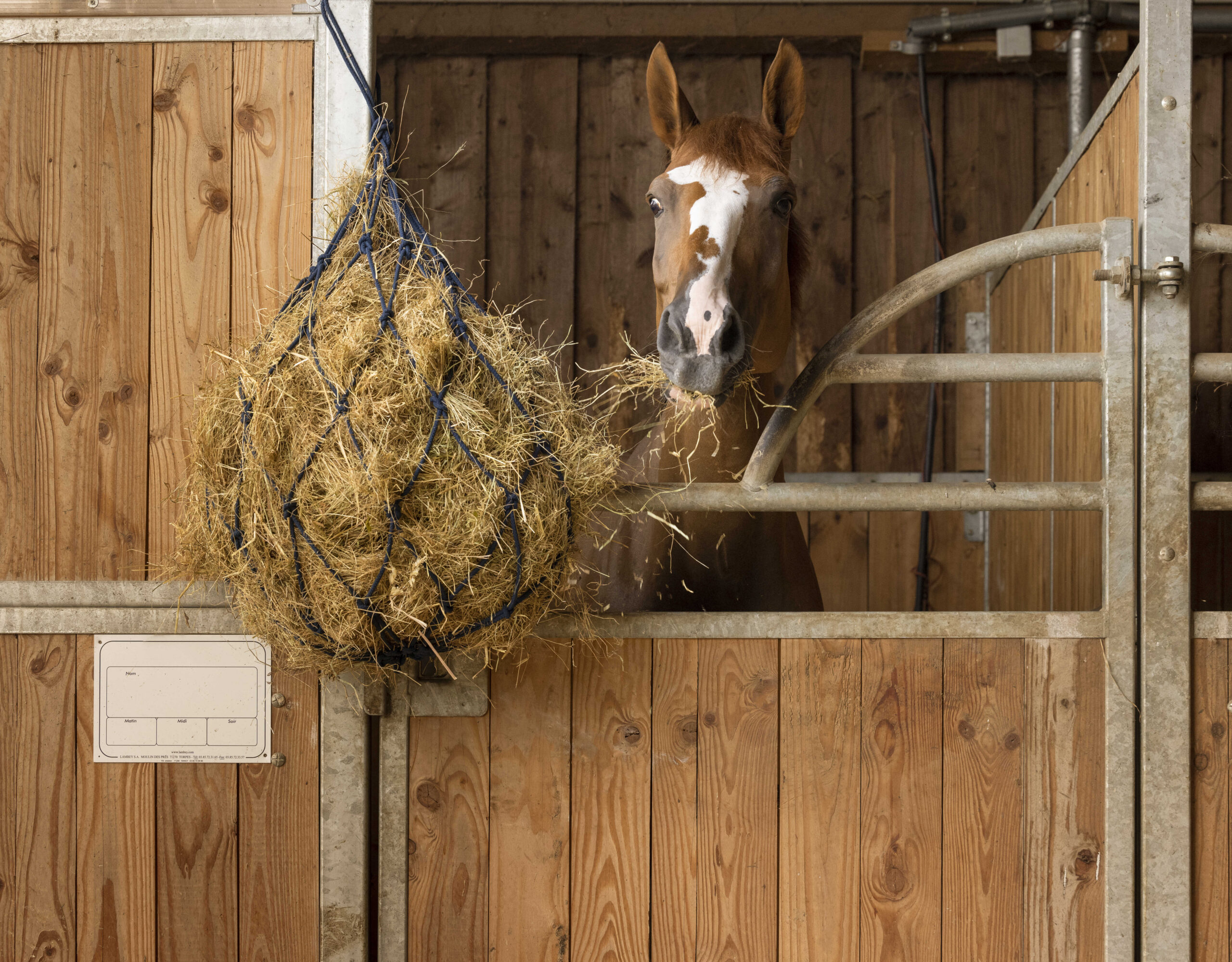 HIPPOTONIC cotton hay net with rings