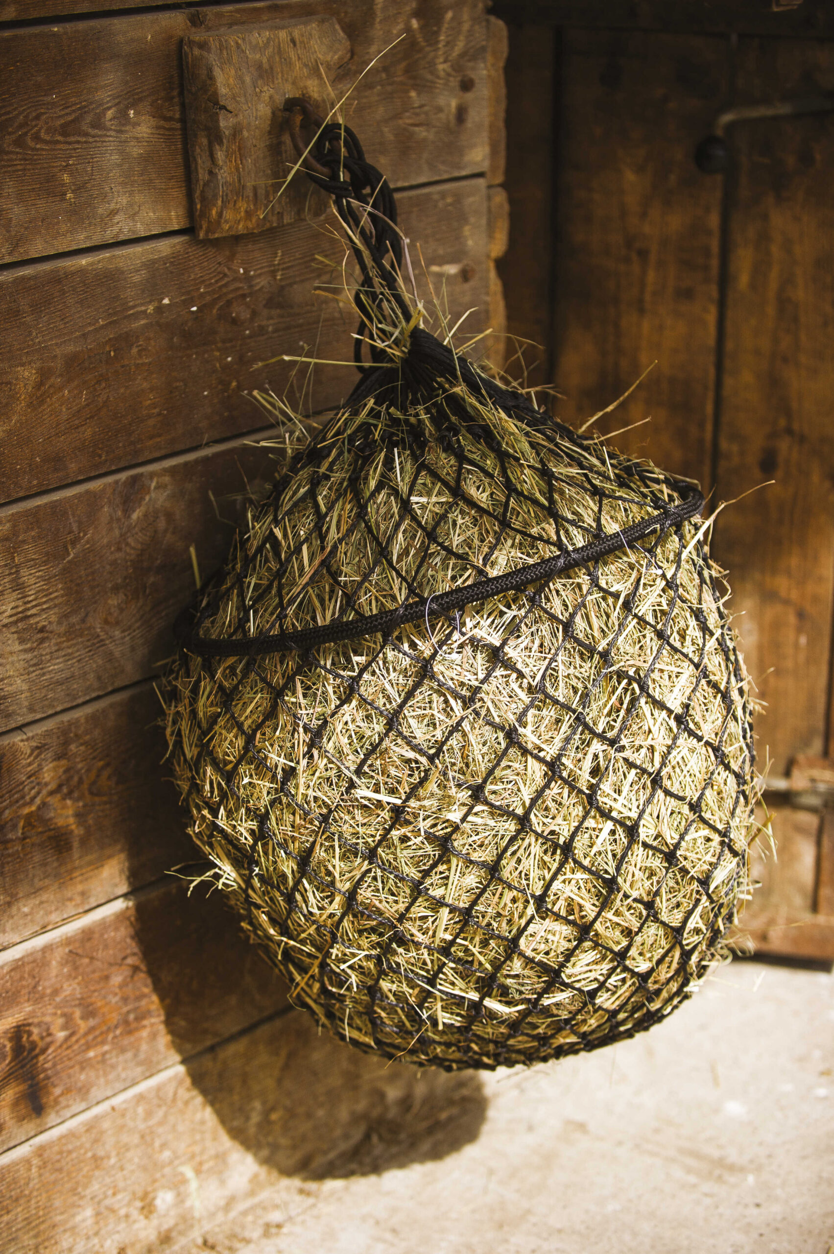 HIPPOTONIC - Luxe - Heunetz