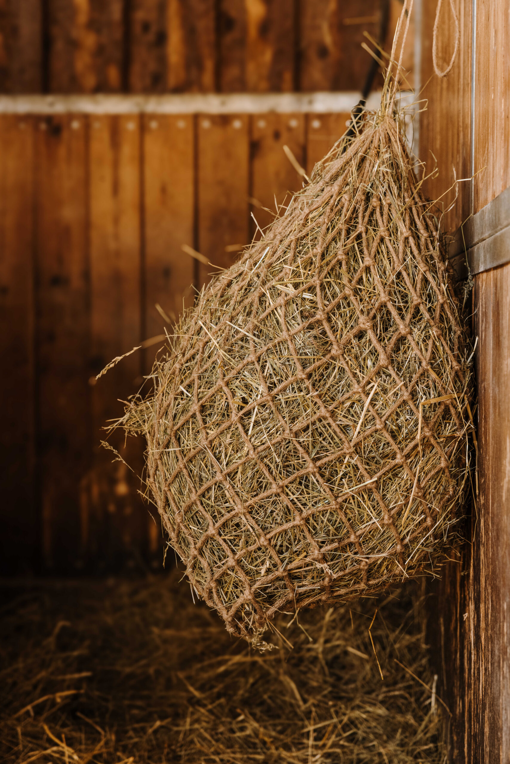 HIPPOTONIC - Naturel - Heunetz