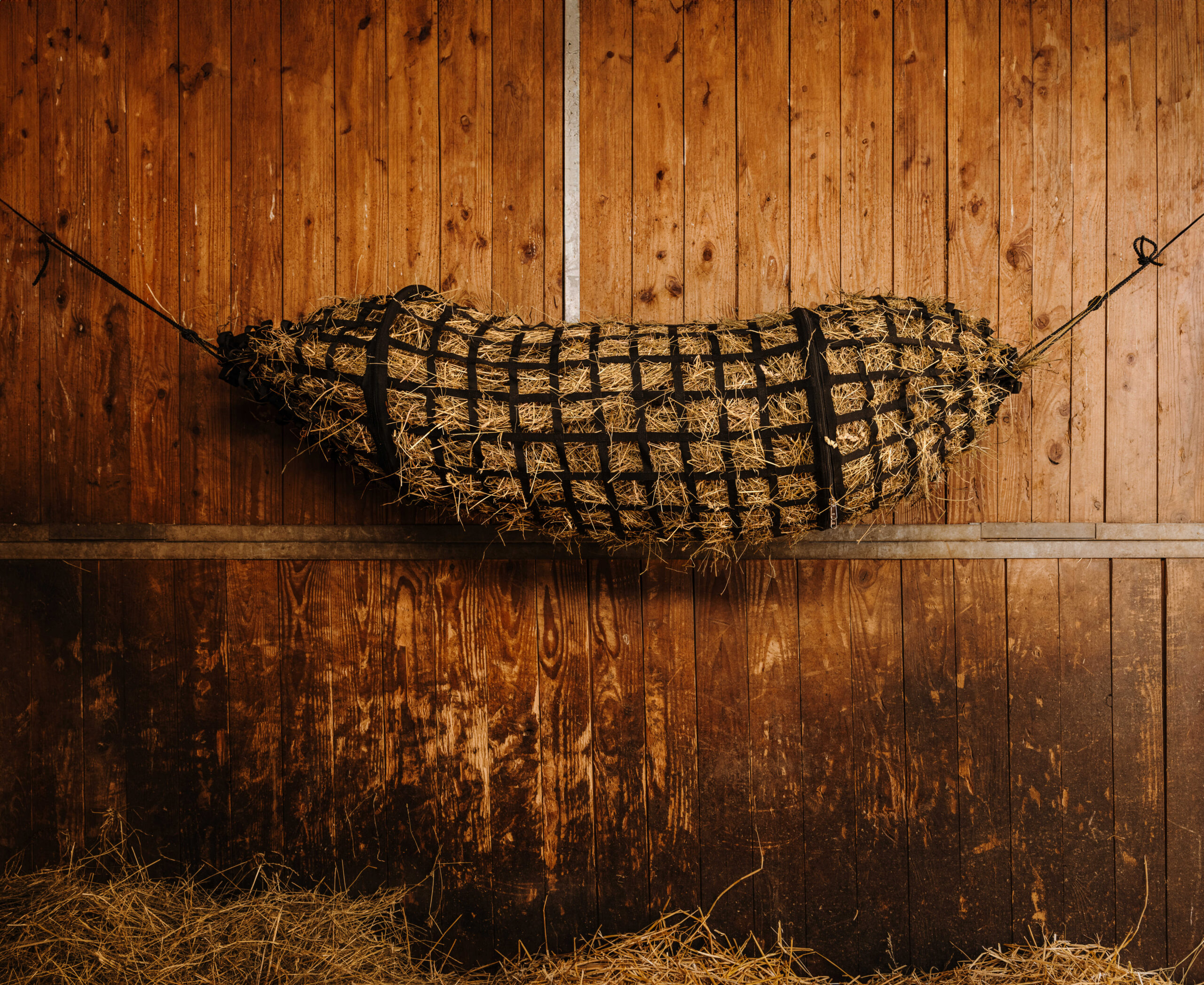 HIPPOTONIC - Tunnel - Heunetz