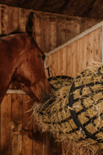 HIPPOTONIC - Tunnel - Heunetz - Image 2