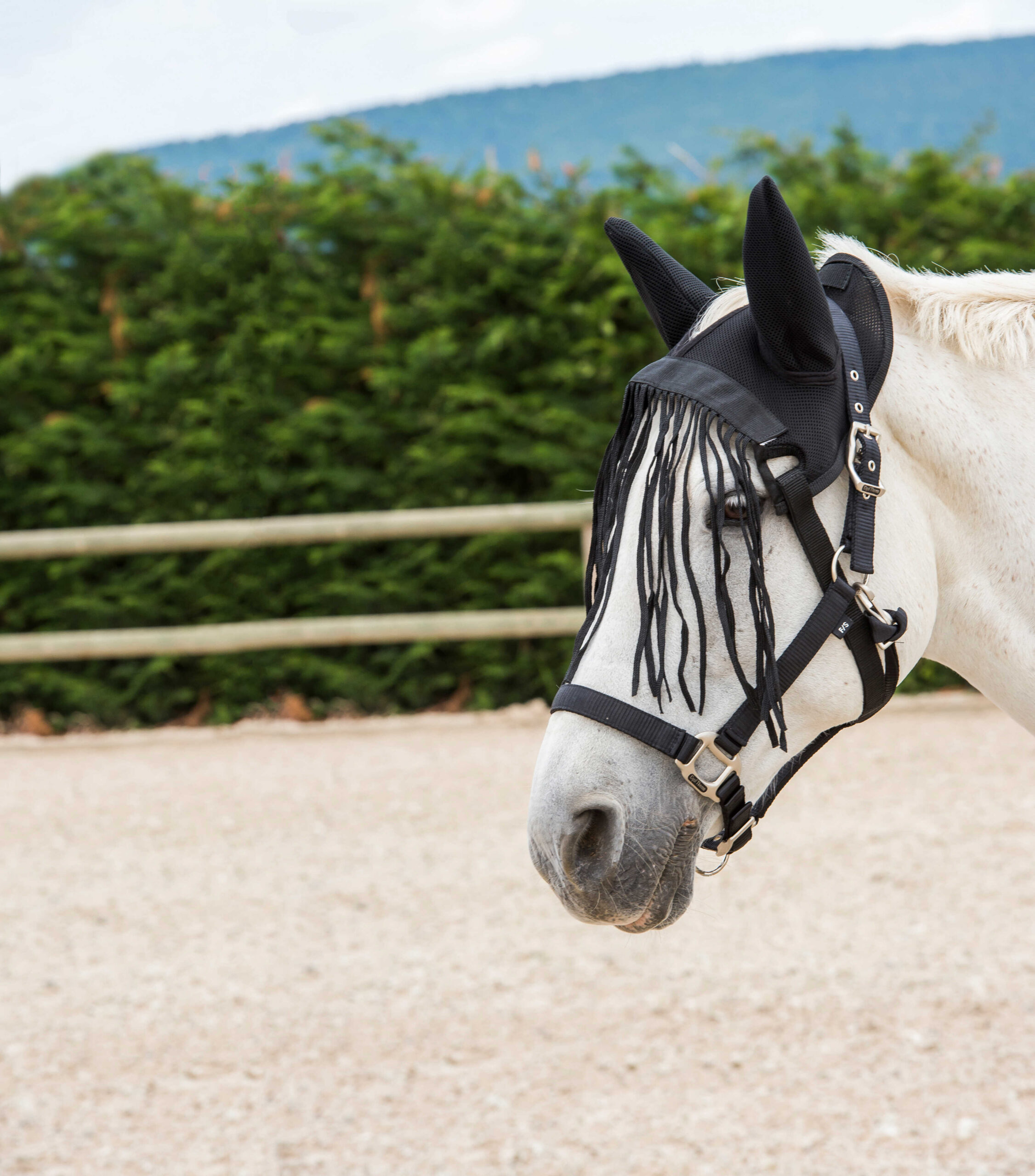 RIDING WORLD Netzhut – Öko-Fransen