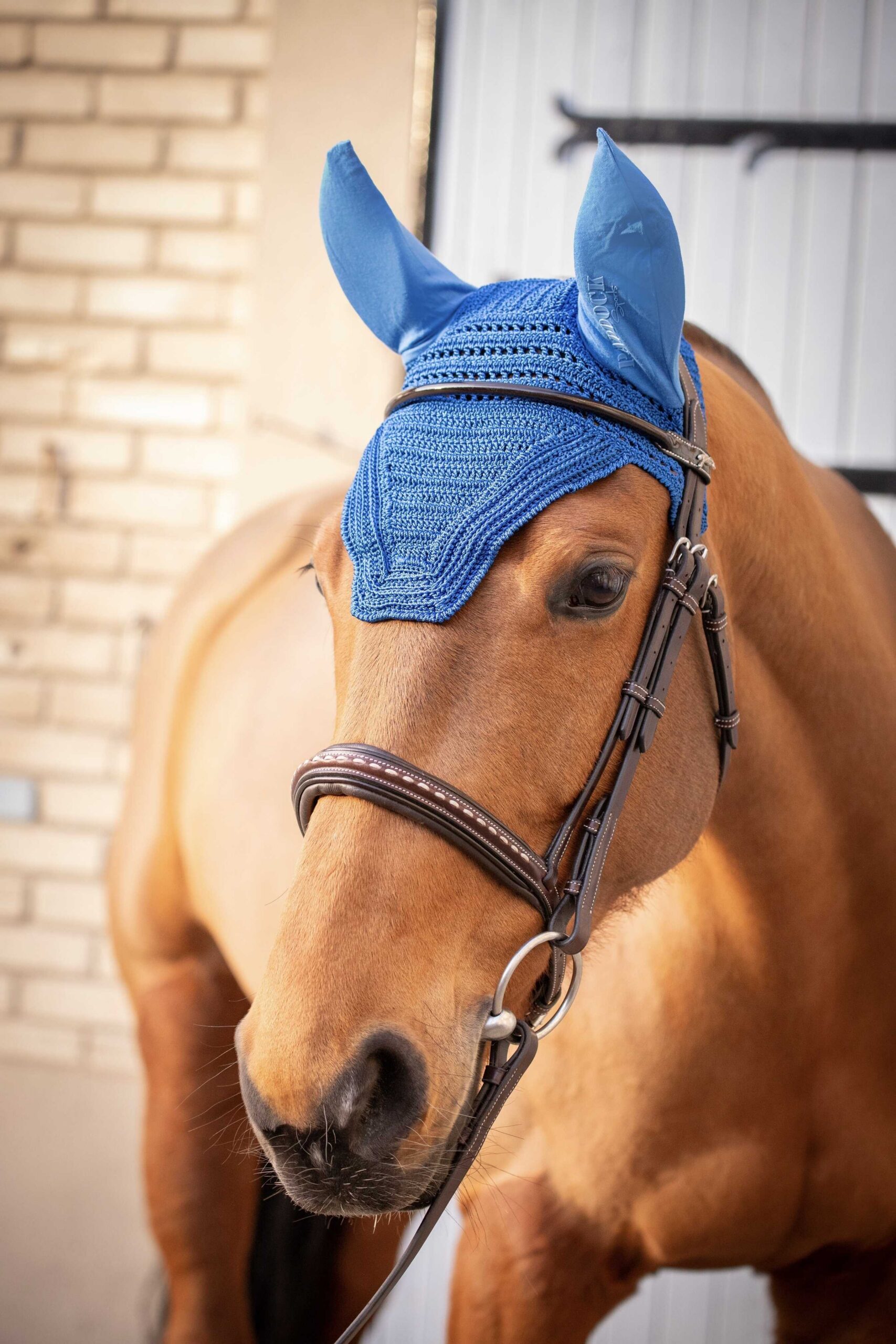 PADDOCK "Prems" fly veil