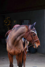 EQUITHÈME fly hood - denim - Image 12