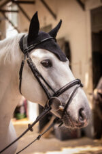 PADDOCK "Pro Coton" fly veil - Image 8