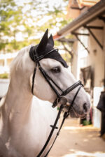 PADDOCK "Pro Coton" fly veil - Image 9