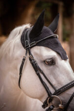 PADDOCK "Pro Coton" fly veil - Image 10