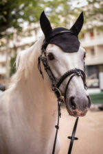 PADDOCK "Pro Coton" fly veil - Image 15