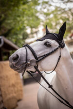 PADDOCK "Pro Coton" fly veil - Image 16