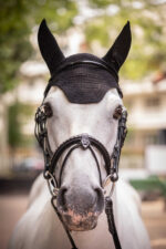 PADDOCK "Pro Coton" fly veil - Image 17