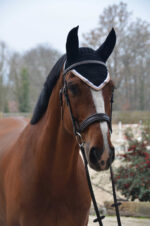 PADDOCK "Origine" fly veils