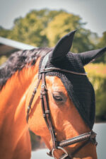 PADDOCK "Pro Coton Long" fly veil - Image 10