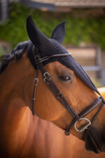 PADDOCK "Pro Coton Long" fly veil - Image 11