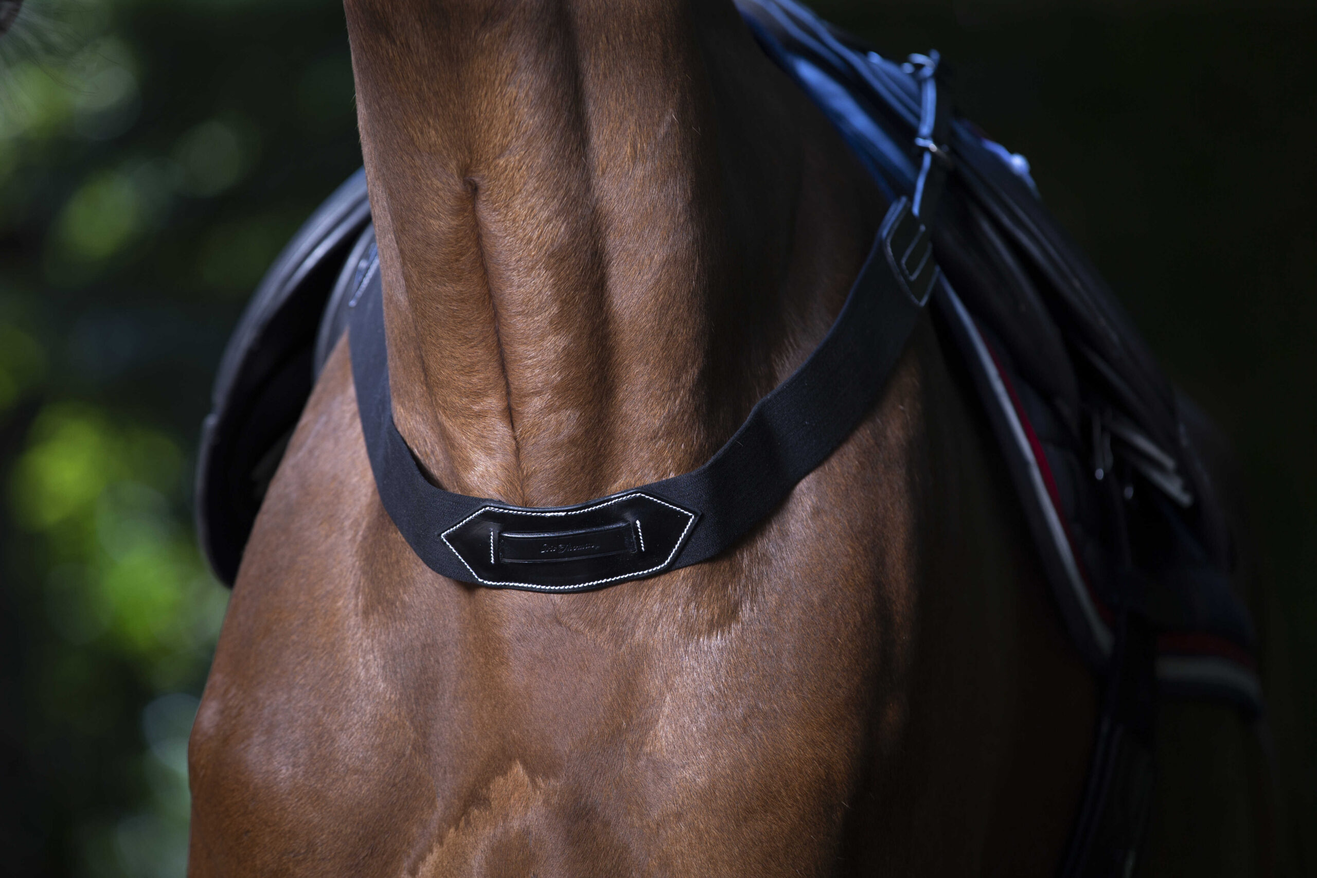 ERIC THOMAS Breastplate elastic Pro