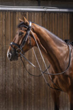 Chambon ERIC THOMAS PRO