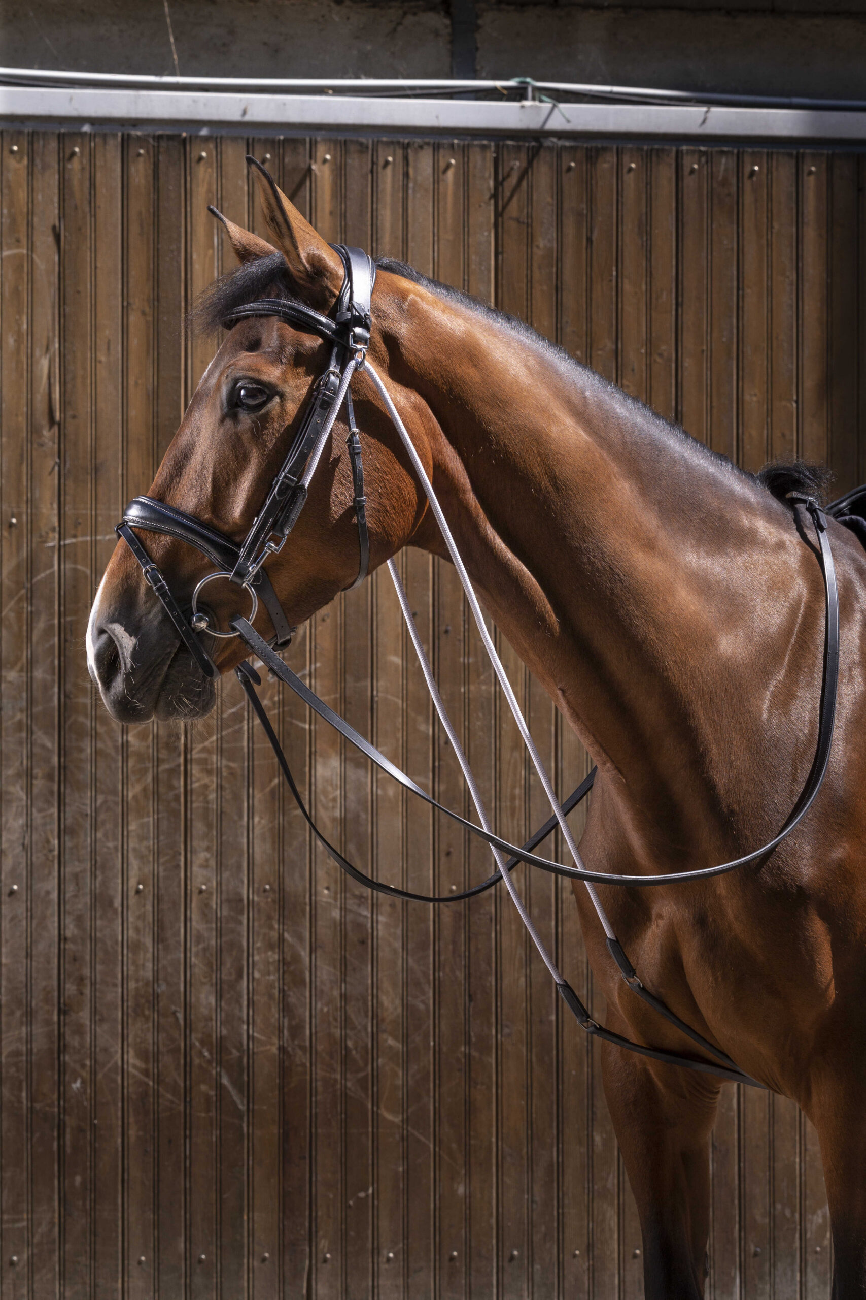 Chambon ERIC THOMAS PRO