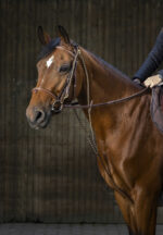 Chambon ERIC THOMAS PRO - Image 3