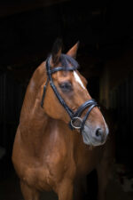 ERIC THOMAS PRO Zaumzeug - Wave