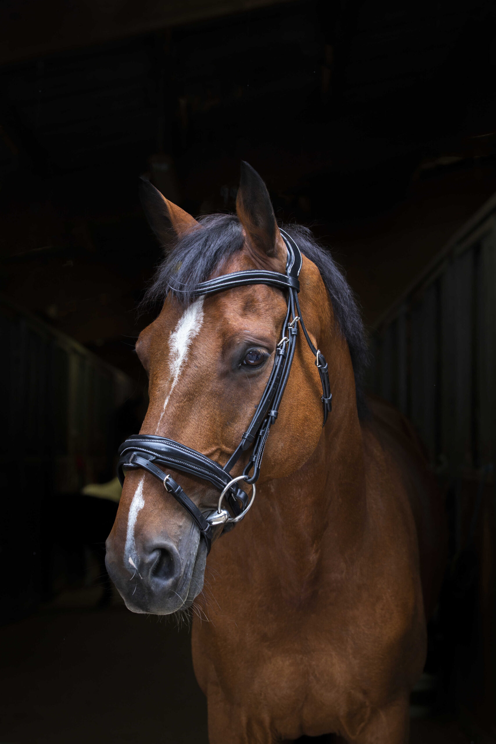 ERIC THOMAS PRO Trense - Design