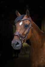 ERIC THOMAS PRO Trense - Design - Image 2