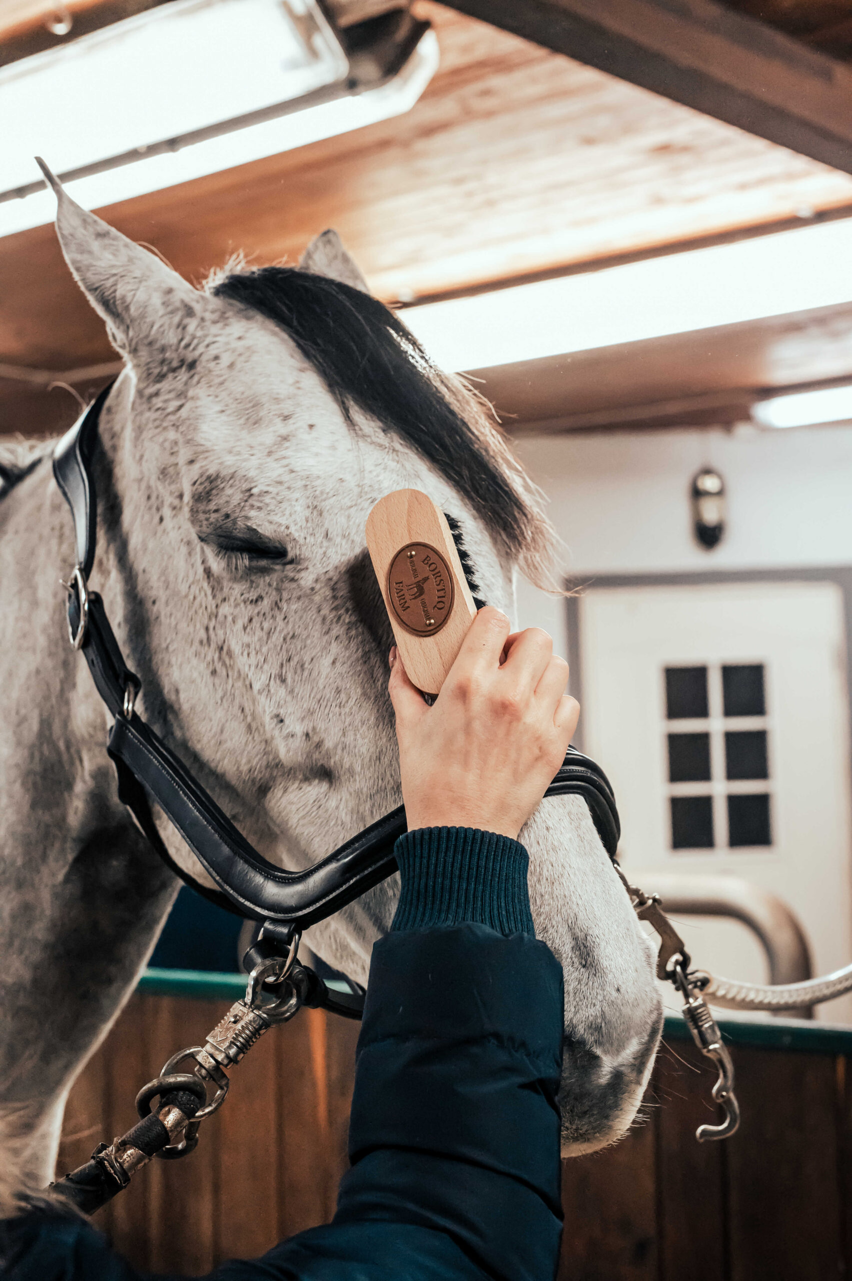 BORSTIQ - Polypropylène - Head Brush