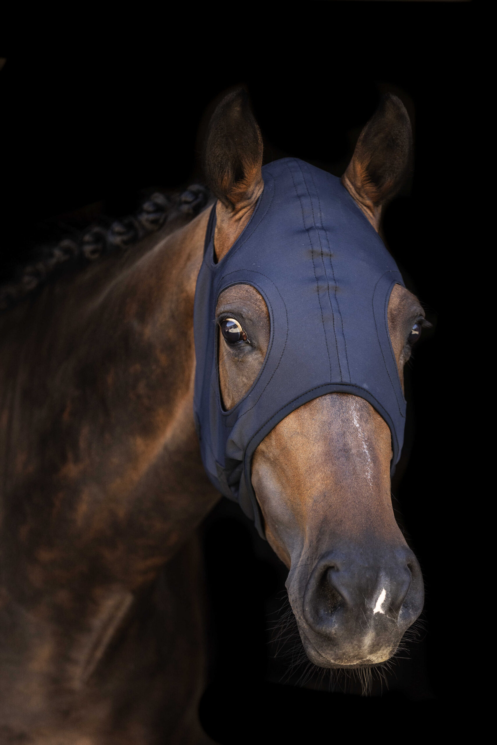 Maske LAMI-CELL - Titanium