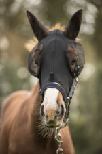 Fly mask LAMI-CELL - Lycra - Image 7