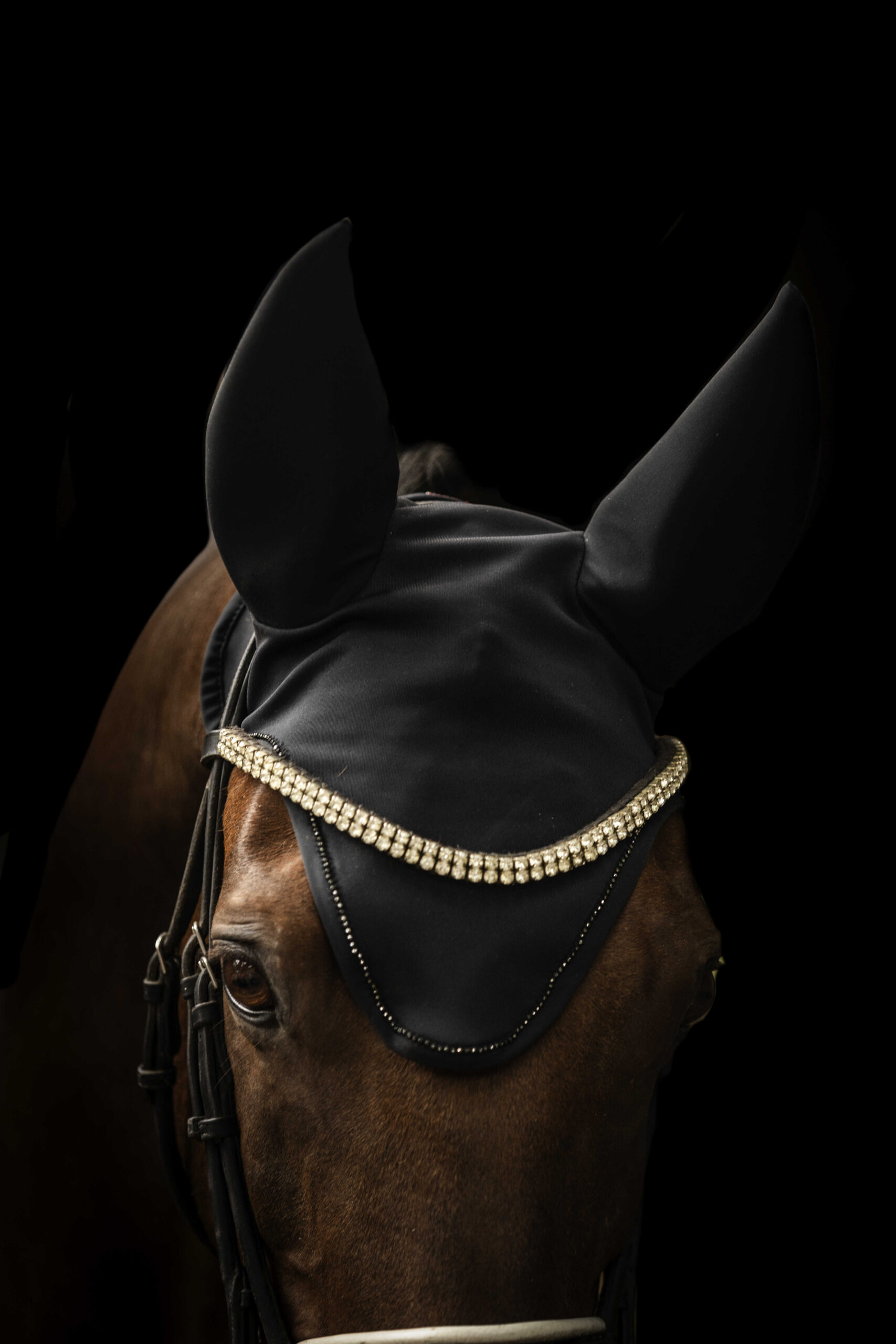 LAMI-CELL Titanium - Fly veil