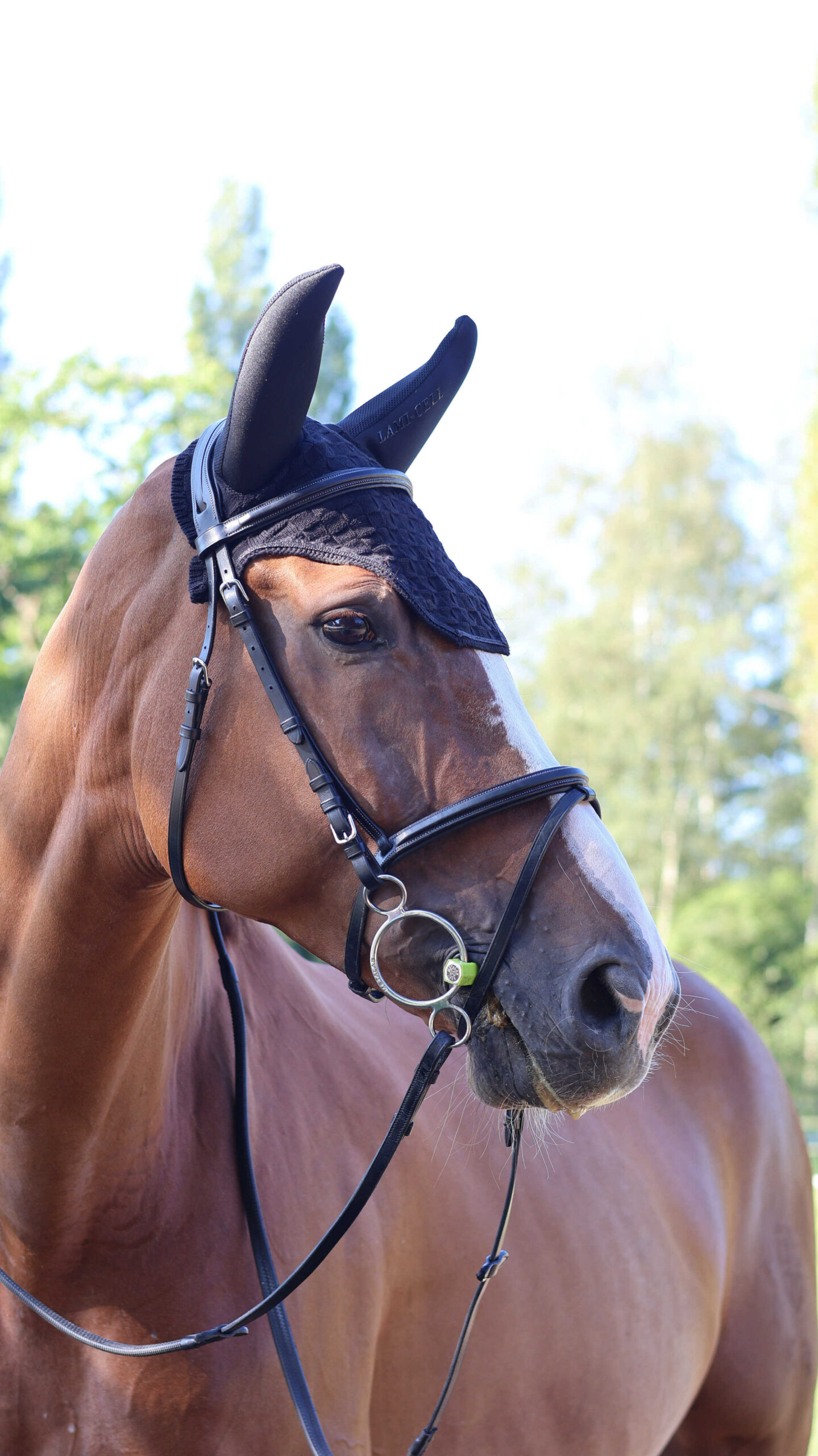 320038302_ambi_1 LAMI-CELL Fly Veil - Silentair - Image 1