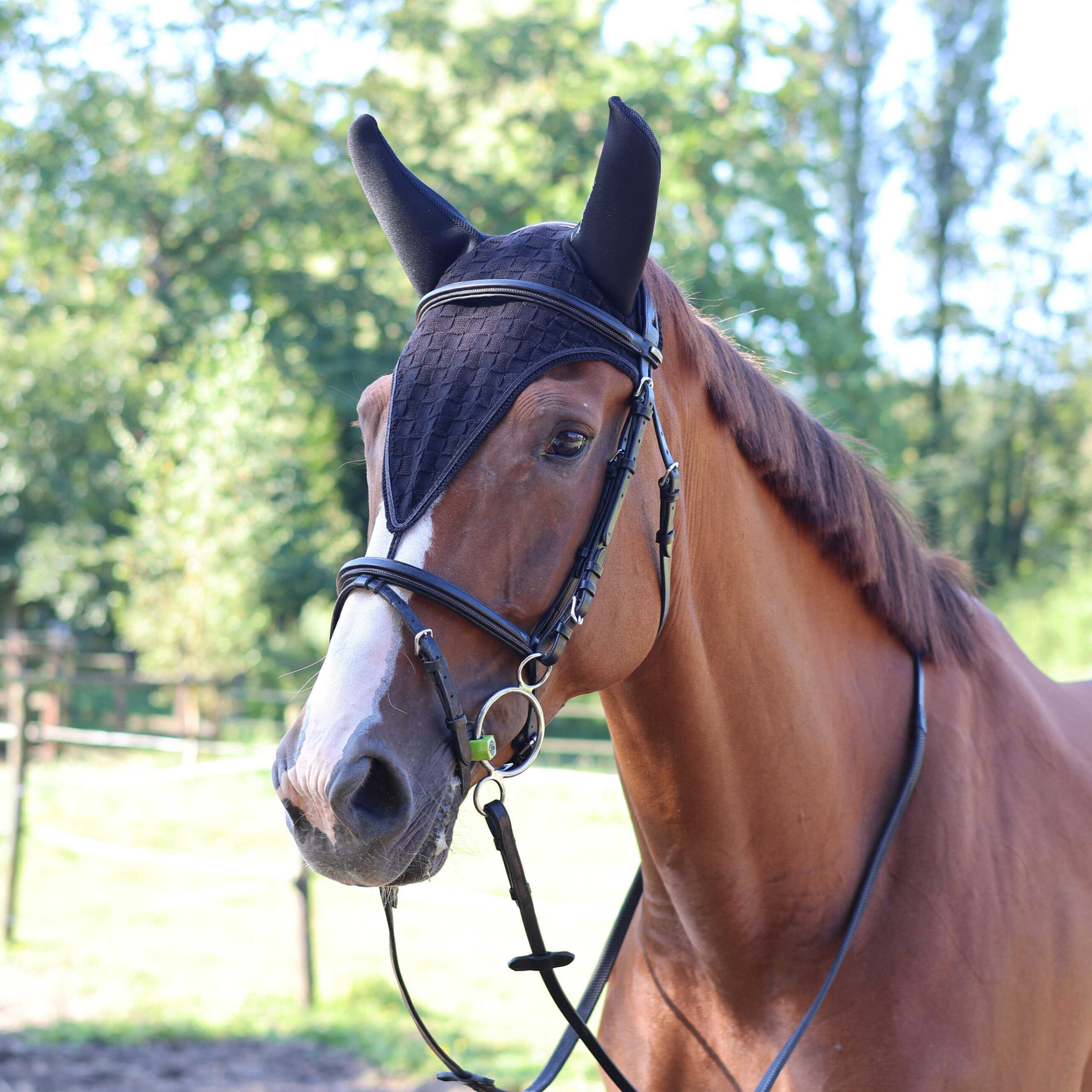 LAMI-CELL Long Fly Veil - Silentair