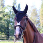 LAMI-CELL Long Fly Veil - Silentair - Image 5