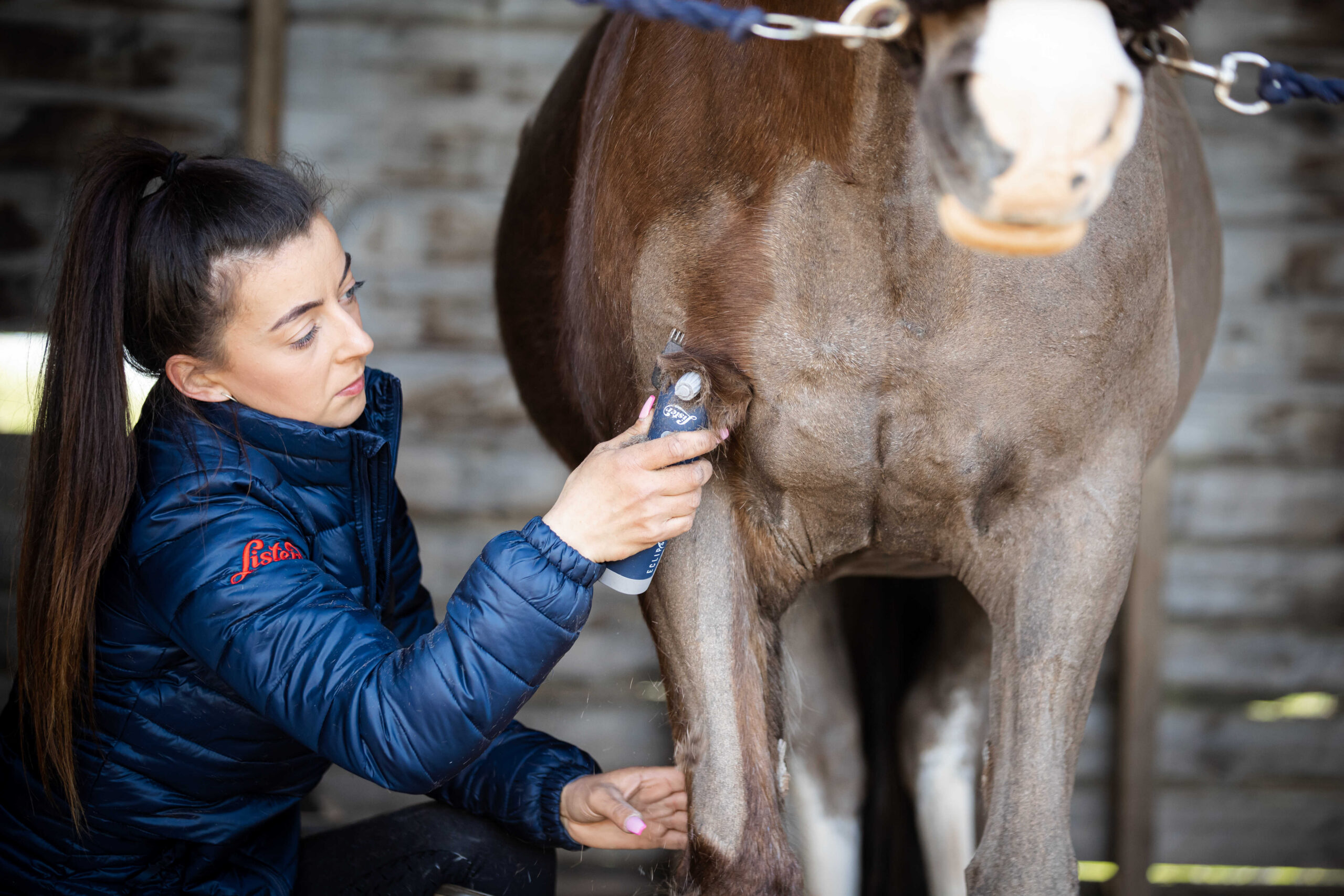 LISTER "Eclipse" cordless clipper