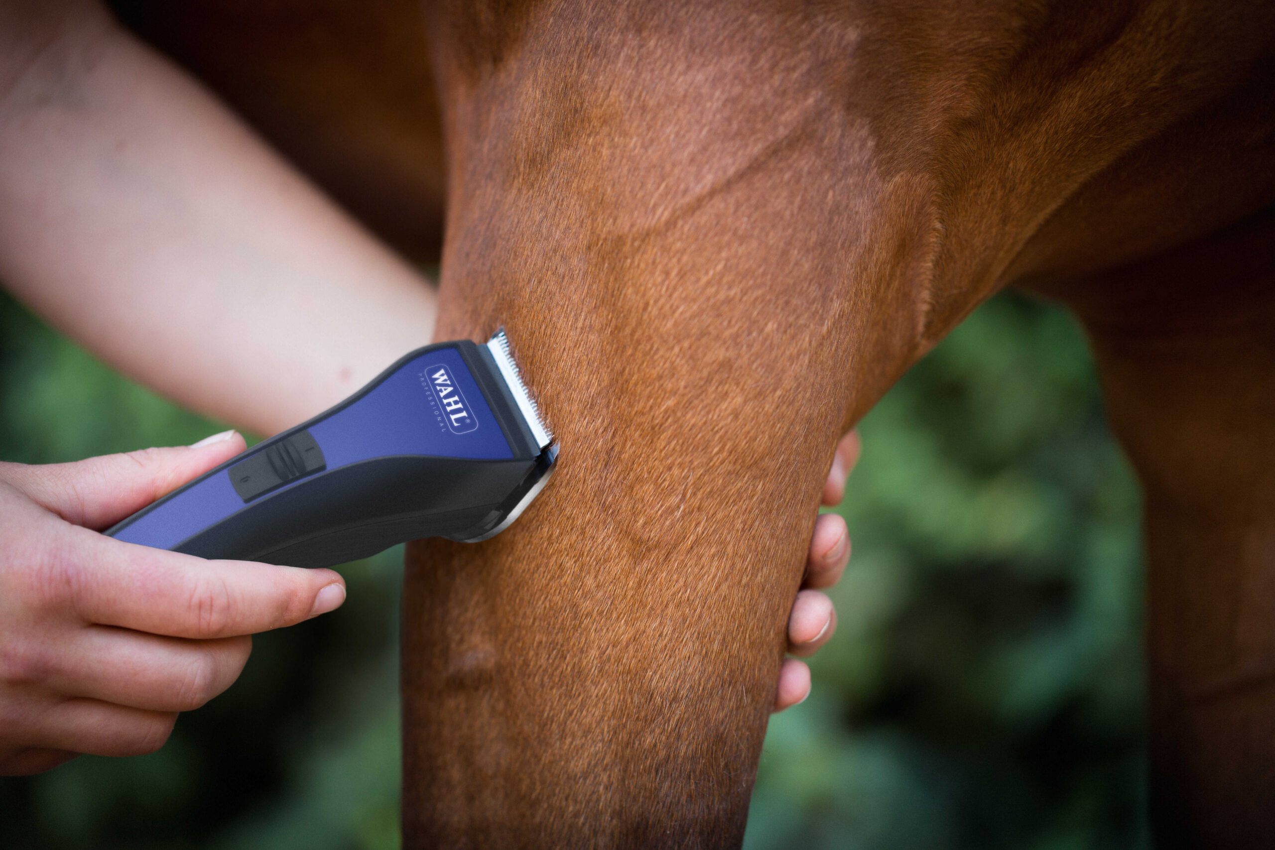 WAHL - Admire - Clipper