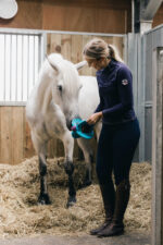 BIZZY HORSE - Bizzy Ball for bizzy Lick