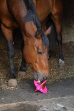 BIZZY HORSE - Bizzy Ball for bizzy Lick - Image 9