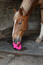 BIZZY HORSE - Bizzy Ball for bizzy Lick - Image 10