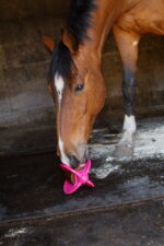 BIZZY HORSE - Bizzy Ball for bizzy Lick - Image 12