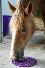 LIKIT Graze Paste - Image 13