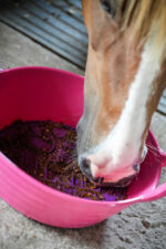 LIKIT Graze Paste - Image 15