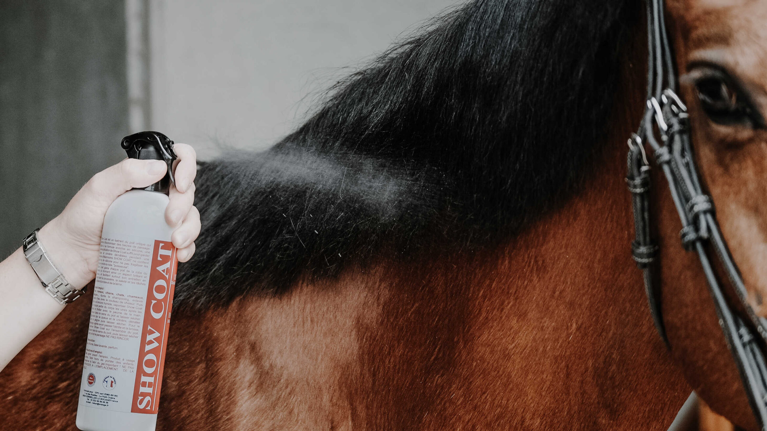 385111_ambi_1 REKOR Shine Detangler - Show Coat - Image 1