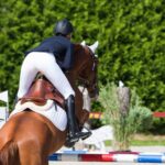 Horze Winslow Genuine Leather Tall Boots - Image 10