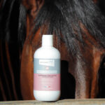 Shampoo LPC - Espace Shampoo