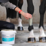 Argile LPC - Tend'Argile - Image 4